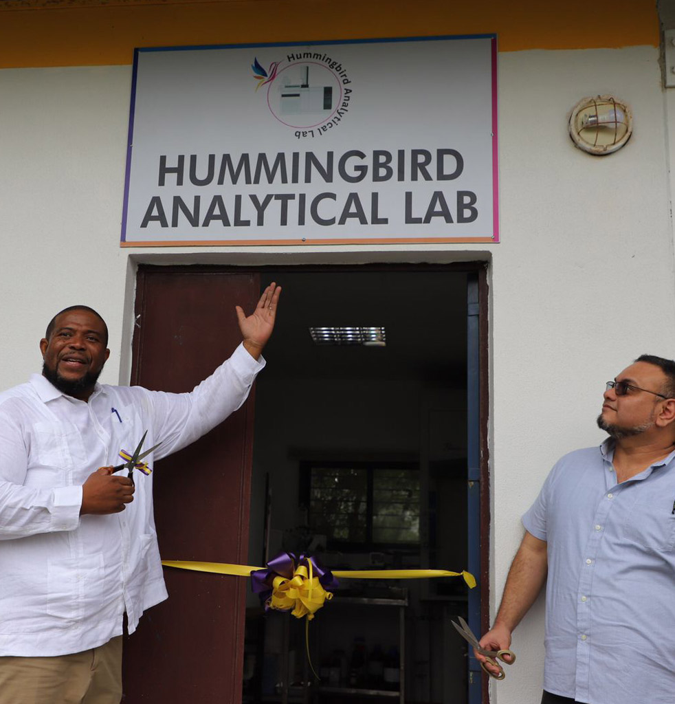 Hummingbird-Lab-2