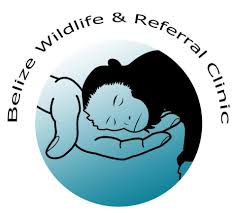 Belize Wildlife & Referral Clinic