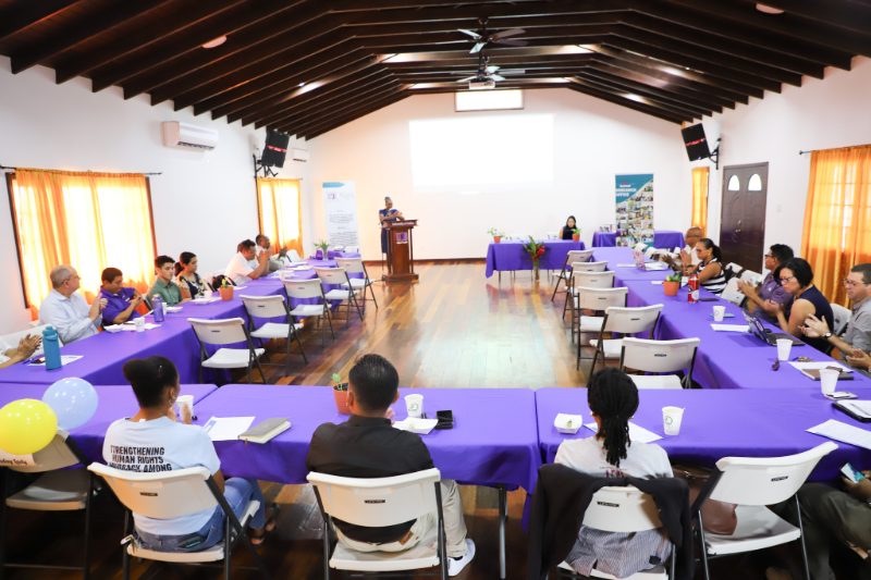 Academic Staff and Graduate Studies Research Series