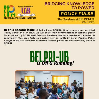 BelPRI Newsletter No. 2