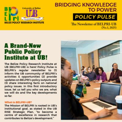 BelPRI Newsletter No. 1