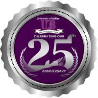 25th Anniversary Logo
