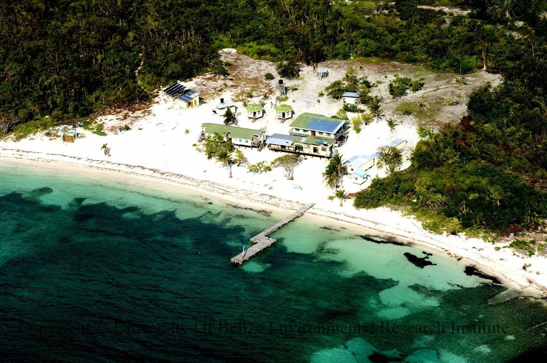 Calabash Caye Field Station
