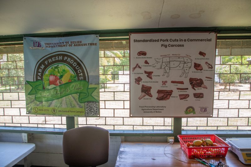 Central Farm Produce