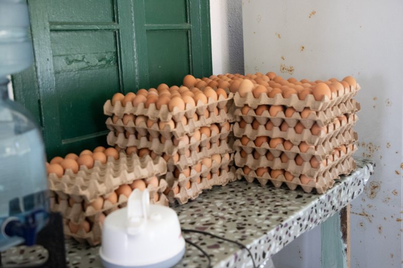 Central Farm Produce