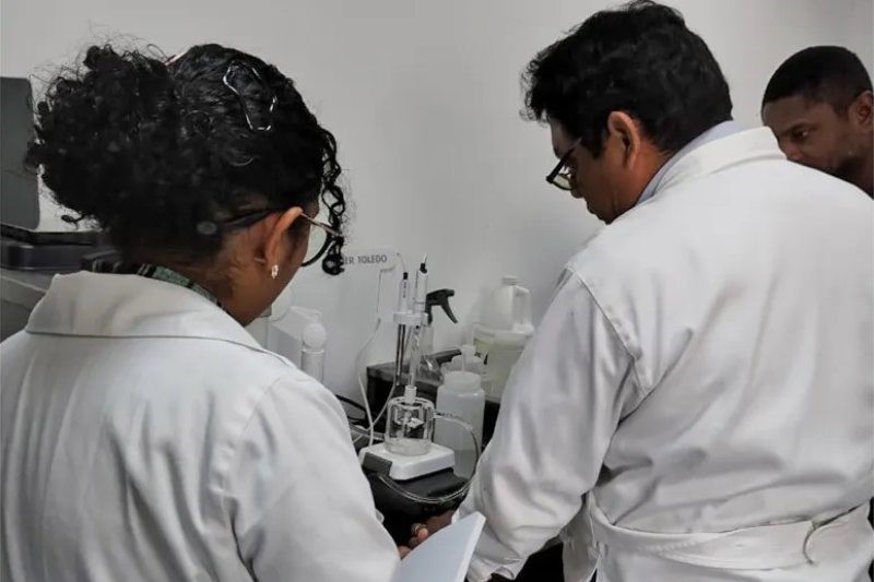 Hummingbird Analytical Lab