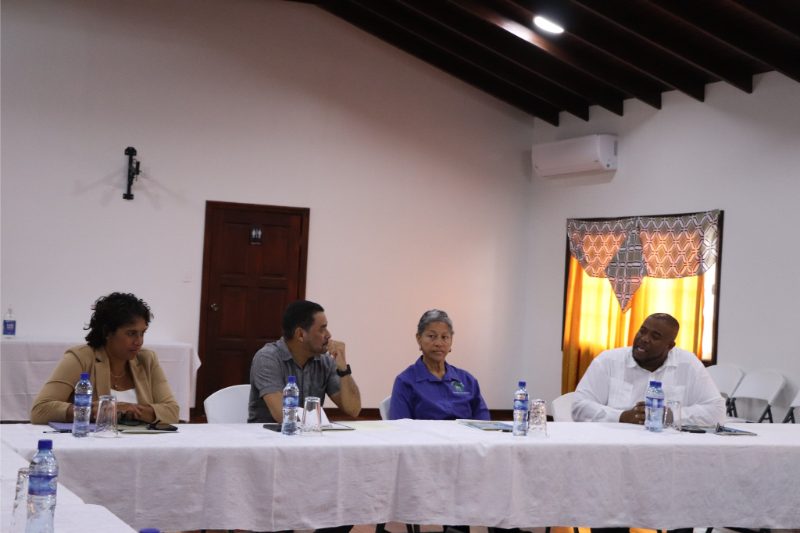 Presentation of the Proposal IILI