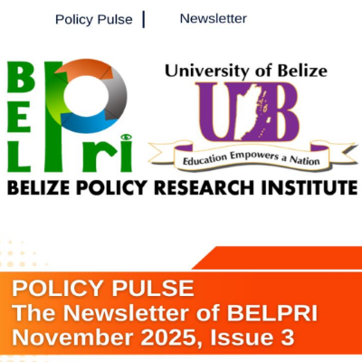 BelPRI Newsletter No.3